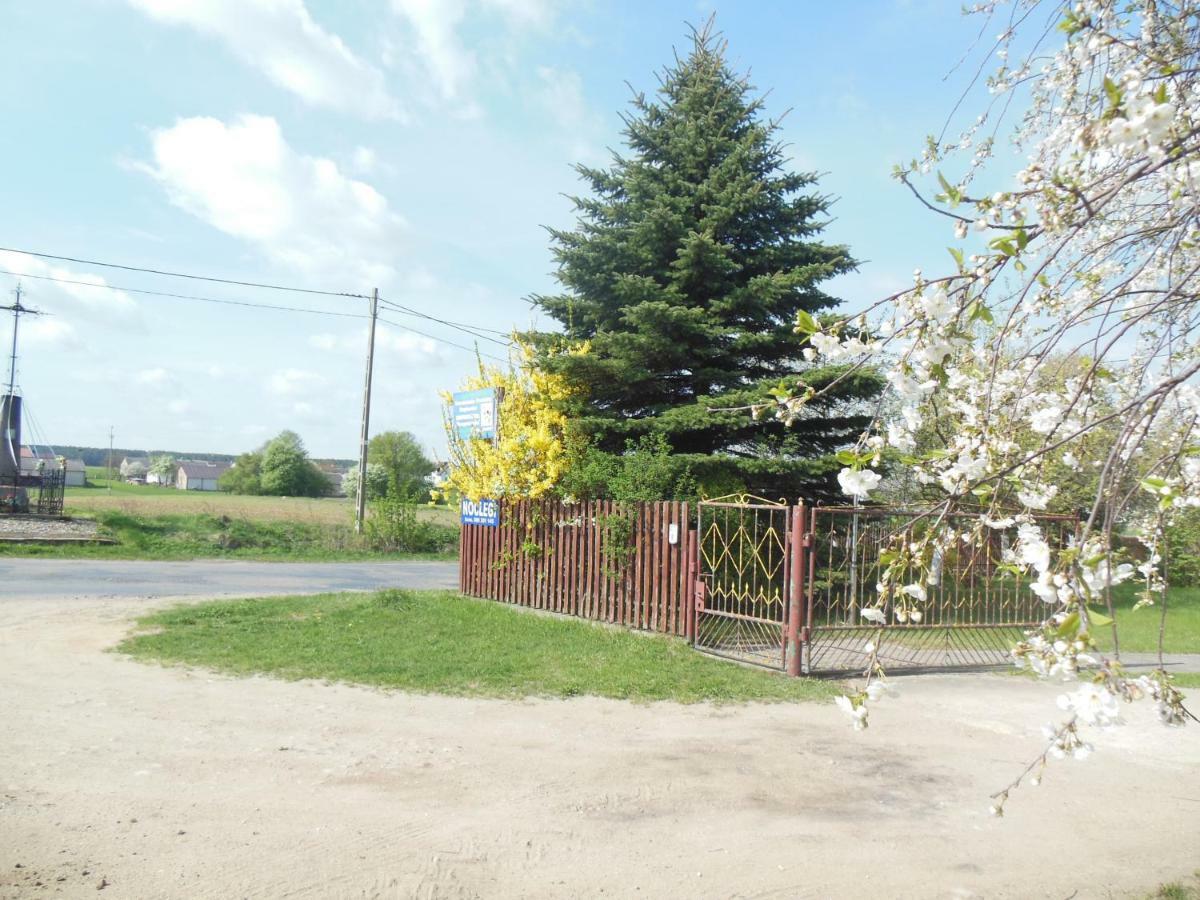 Niezapominajka Villa Jenki Kültér fotó